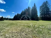 Prodej komerčního pozemku, Černá v Pošumaví, 25271 m2