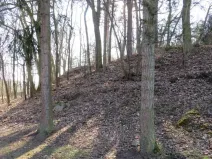 Prodej lesa, Čerčany, 394 m2