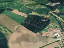 Prodej pole, Morkůvky, 1554 m2
