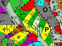 Dražba lesa, Jílové u Držkova, 1684 m2