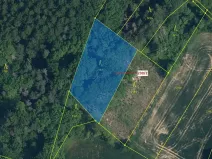 Dražba lesa, Jenišovice, 2305 m2