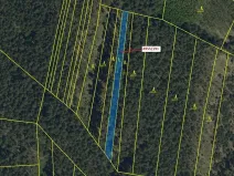 Dražba lesa, Vracov, 1174 m2