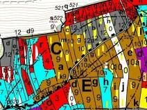 Dražba lesa, Milavče, 2762 m2