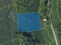 Dražba lesa, Vysoké Mýto, 4766 m2