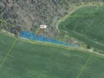 Dražba lesa, Nové Dvory, 953 m2