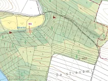 Dražba lesa, Mladoňovice, 961 m2