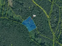 Dražba lesa, Jesenice, 1924 m2