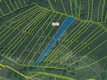 Dražba lesa, Milavče, 5152 m2