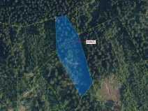 Dražba lesa, Velké Hamry, 5995 m2