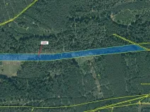 Dražba lesa, Jesenice, 12984 m2