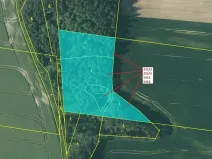 Dražba lesa, Peč, 7902 m2