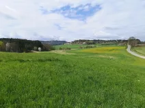 Prodej pozemku pro bydlení, Radomyšl, 10800 m2