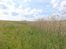 Dražba pozemku, Meziměstí, 2273 m2