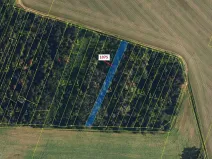 Dražba lesa, Dolní Vilémovice, 1134 m2