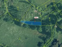 Dražba louky, Zavlekov, 272 m2