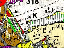 Dražba lesa, Spešov, 500 m2