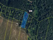 Dražba lesa, Přemyslovice, 1381 m2