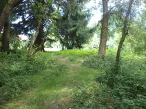 Dražba louky, Pěčín, 5224 m2