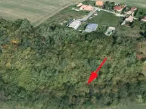 Prodej lesa, Skuteč, 3111 m2