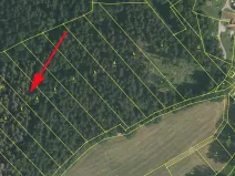 Prodej lesa, Zlatá Koruna, 4921 m2