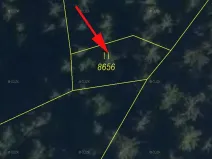 Prodej lesa, Huslenky, 198 m2