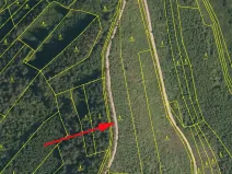 Prodej lesa, Lhota u Vsetína, 5445 m2