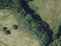 Prodej lesa, Stvolínky, 1713 m2