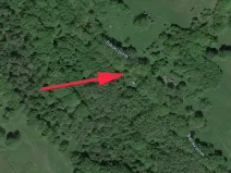 Prodej lesa, Trutnov, 4983 m2