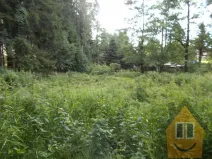 Prodej louky, Velký Šenov, 3266 m2