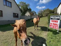 Prodej pozemku pro bydlení, Pašovice, 1279 m2