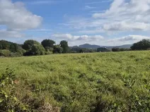 Prodej pozemku pro bydlení, Jestřebí, 1898 m2