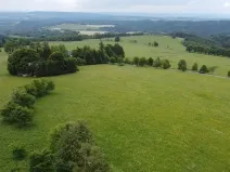 Dražba louky, Říčky v Orlických horách, 1426 m2