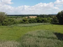 Dražba louky, Střížovice, 2388 m2