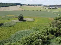 Dražba louky, Střížovice, 2388 m2