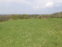 Dražba louky, Chotěbuz, 6967 m2