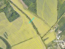 Prodej podílu pole, Traplice, 913 m2