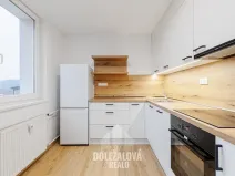 Pronájem bytu 1+1, Malý Beranov, 46 m2