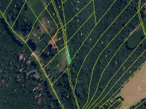 Dražba lesa, Luže, 227 m2