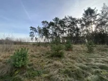 Prodej lesa, Kostelní Lhota, 9438 m2