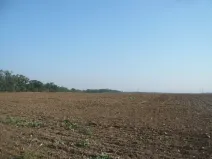 Prodej komerčního pozemku, Veltrusy, 27806 m2