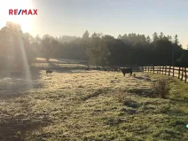 Prodej pozemku, Vyskytná nad Jihlavou, 172102 m2