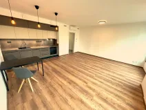 Pronájem bytu 1+kk, Brno, Slovákova, 47 m2