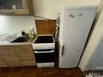 Pronájem bytu 1+1, Praha - Vinohrady, Řipská, 47 m2