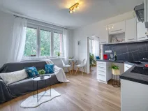 Pronájem bytu 1+1, Chomutov, Arbesova, 36 m2