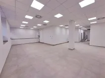 Pronájem obchodního prostoru, Praha, Cimburkova, 357 m2