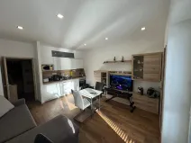 Pronájem bytu 1+kk, Brno, Dřevařská, 30 m2