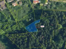 Dražba louky, Zlatá Olešnice, 438 m2