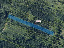 Dražba lesa, Nová Hradečná, 5079 m2