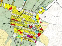 Dražba lesa, Nová Hradečná, 6275 m2