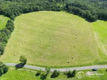 Prodej louky, Třebušín, 74552 m2
